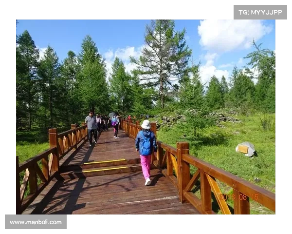 《少林板球：传统武术与击球技法的完美融合之旅》